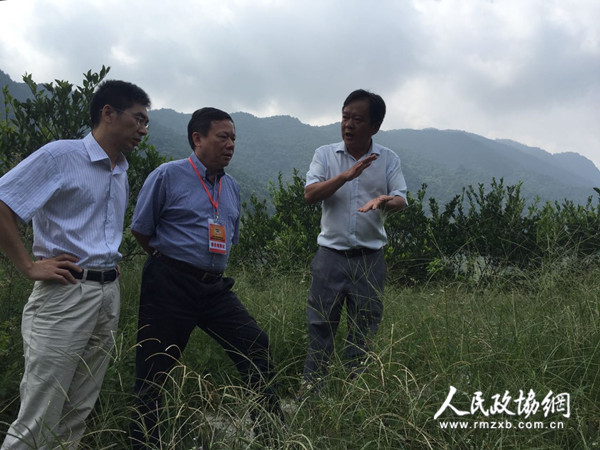 福建省南安市政协建言南台经济合作项目 福建省南安市政协建言南台经济合作项目