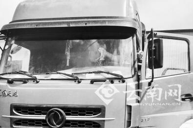 聪明反被聪明误 老司机用袜子制“遮牌神器”将被一次性扣完12分