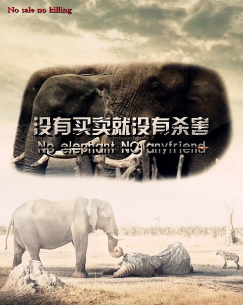 00300631413_ff2a99fa 00300631413_ff2a99fa