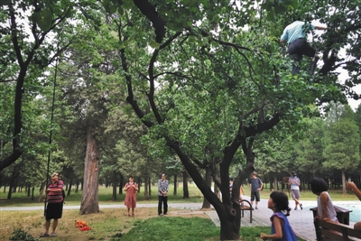 129278335_14737215341951n 129278335_14737215341951n