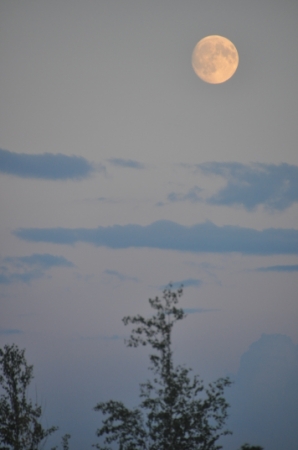 9月15日是中秋节，这是在黑龙江省北安市建设农场拍摄的月亮。