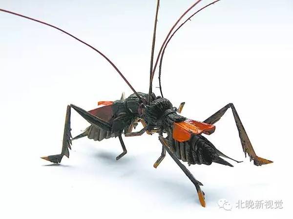 W020160918376379220720 W020160918376379220720