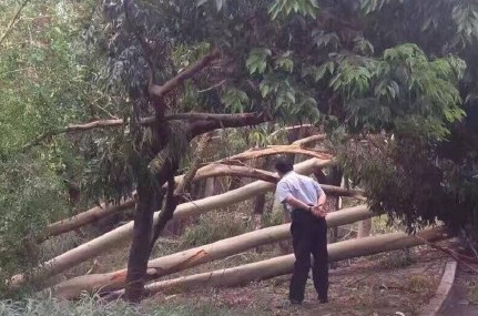 f44d305ea0961946b26b13 f44d305ea0961946b26b13