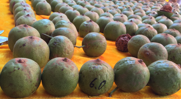 四座楼狮子头青皮相对王勇官帽青皮的外皮要略厚一些。63尺寸的四座楼青皮，开出47左右的尺寸比较常见，而61尺寸的王勇官帽青皮，开出48左右的尺寸比较常见。赌核桃的人最想要的就是配对完好、尺寸更大的，这样的就算是“赌着了”、“赌正了”。