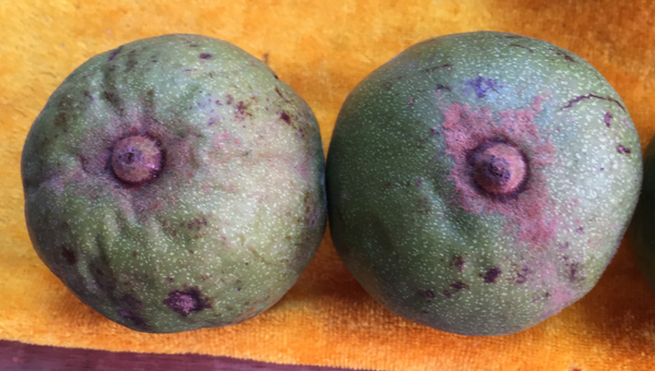 赌青皮核桃的时候该怎么挑？