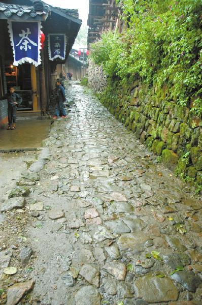 贾和普对现存于雅安的南丝绸之路也深感兴趣。