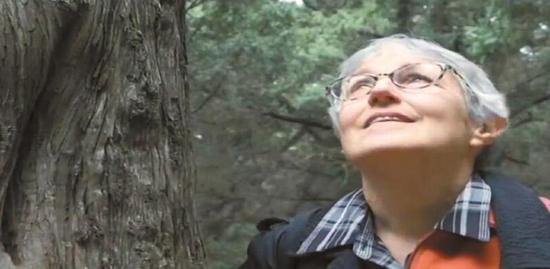 纪录片《蜀道使者》截屏图。