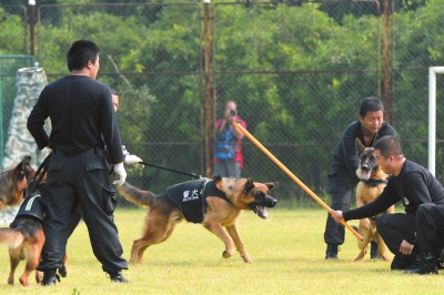 U48P4T8D8013354F107DT20160924022239 U48P4T8D8013354F107DT20160924022239