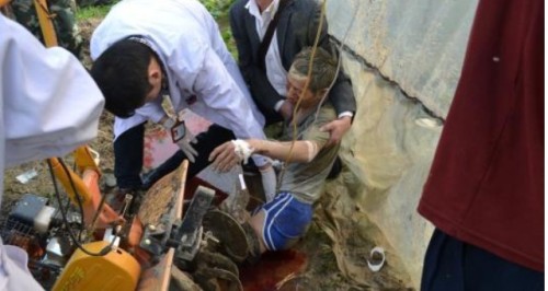 男子山上解救被套住小熊仔 男子山上解救被套住小熊仔