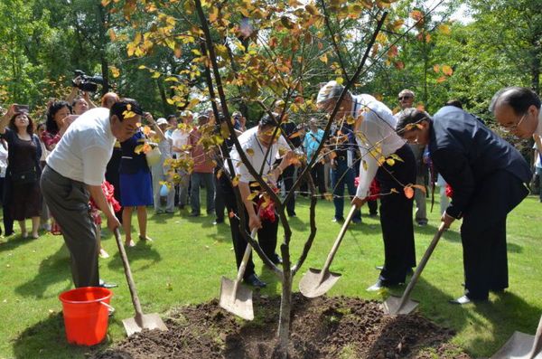 QQ图片20160928111424 QQ图片20160928111424