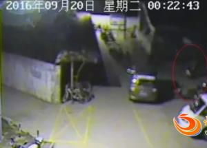 男子好赌被妻子乱棍打死2 男子好赌被妻子乱棍打死2