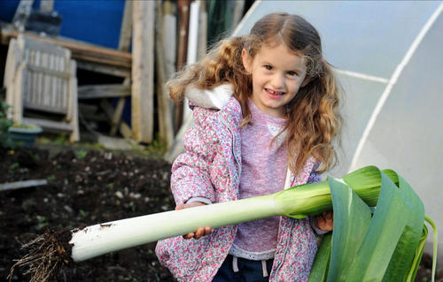 Vowles先生和妻子Brenda每天都得给16个孙子孙女准备食物，即使有这些超级蔬果，要喂饱18口之家也不是容易的事情。