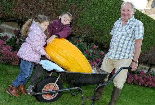 需要动用手推车才能装走的西葫芦。据说，这些超级蔬果的成长只需要四到六个星期，“它们每个小时都在变大”。