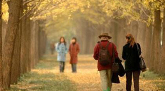 MAIN201610071131109861454027738 MAIN201610071131109861454027738