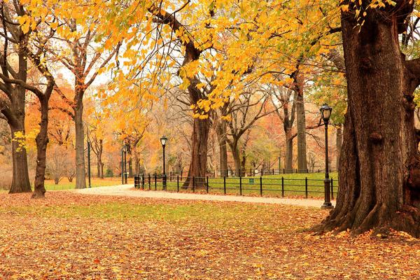 1650058072_9dee1fee00216e22477eb11d49230d2a 1650058072_9dee1fee00216e22477eb11d49230d2a