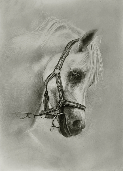 20121027182856_GtQz8 20121027182856_GtQz8