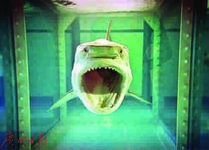 《生者对死者无动于衷》装置 达米安·赫斯特 《生者对死者无动于衷》装置 达米安·赫斯特