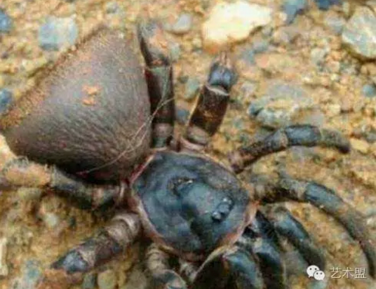 QQ图片20161008172438 QQ图片20161008172438