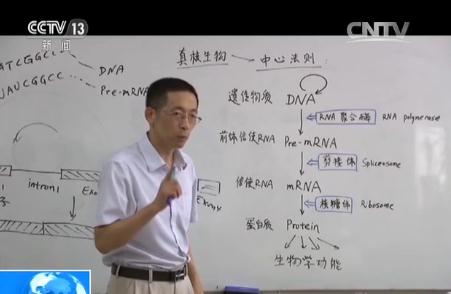 135738793_14759161589021n 135738793_14759161589021n