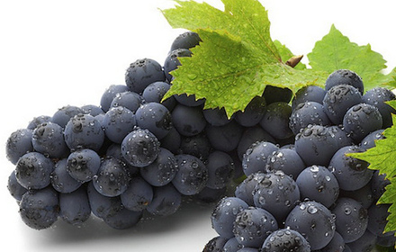 CqgBVFV3mkOALEvhAAEjQBBSgH4685-440x280 CqgBVFV3mkOALEvhAAEjQBBSgH4685-440x280