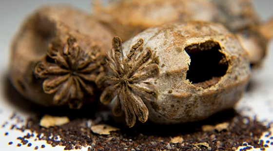 MAIN201610101104307038630538331 MAIN201610101104307038630538331