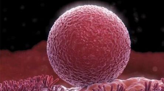 MAIN201610101104305639675093787 MAIN201610101104305639675093787