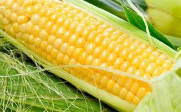 u=3314185630,1133452950&fm=21&gp=0 u=3314185630,1133452950&fm=21&gp=0