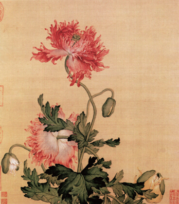 郎世宁 《牡丹》 (清代)