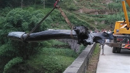 Cg-4WlQYASiINgtHAAMCZnK9Oh0AARgSwFcZ-YAAwJ-476 Cg-4WlQYASiINgtHAAMCZnK9Oh0AARgSwFcZ-YAAwJ-476