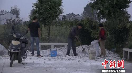 南京眼镜蛇逃逸曝光40小时：当地居民家家户户石灰封门窗