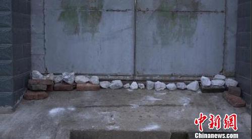 南京眼镜蛇幼蛇逃逸曝光40小时，当地居民家家户户石灰封门窗?！±铉?摄
