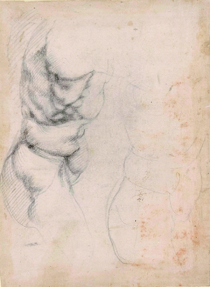 米开朗琪罗作品《男子躯干习作两则》