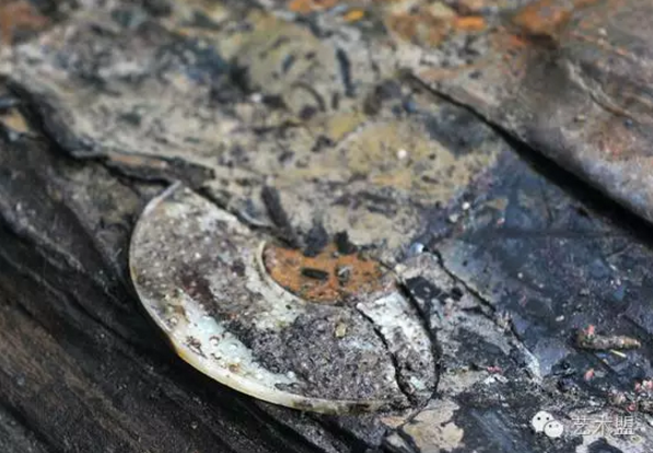 QQ图片20161012171845 QQ图片20161012171845