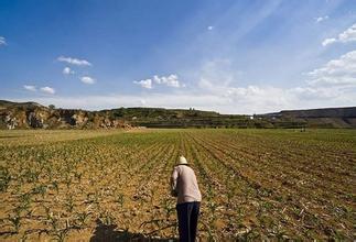 u=1283680049,284854253&fm=21&gp=0 u=1283680049,284854253&fm=21&gp=0