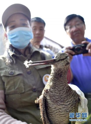 PHOT58nGyLFXankSH5AoQUHF161013_1000x2000 PHOT58nGyLFXankSH5AoQUHF161013_1000x2000