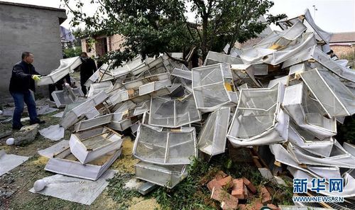 PHOTZ8kJH4sx6wEhcCl7cIJ9161013_1000x2000 PHOTZ8kJH4sx6wEhcCl7cIJ9161013_1000x2000