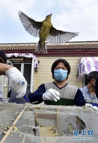 PHOTemkQJNERiJyuzbRSQGfO161013_1000x2000 PHOTemkQJNERiJyuzbRSQGfO161013_1000x2000