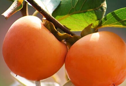 1415087615441 1415087615441