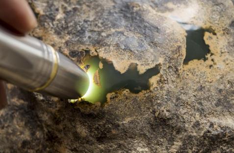 在众筹公告发布的当天，这块众筹金额为220万元的析木玉原料就被认购一空