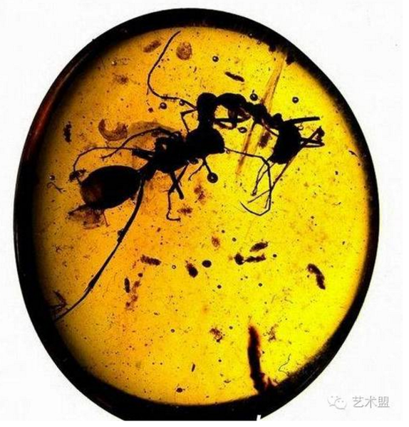 QQ图片20161013171053 QQ图片20161013171053