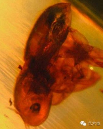 QQ图片20161013171106 QQ图片20161013171106