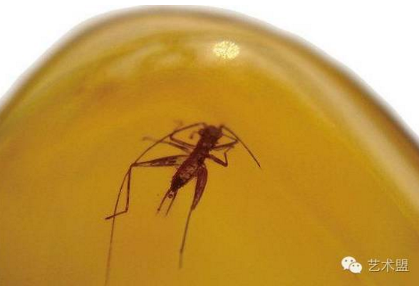 QQ图片20161013171117 QQ图片20161013171117