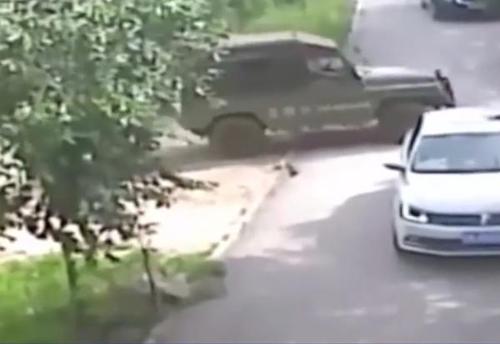 八达岭老虎袭人伤者:我们要得是公道和澄清事实