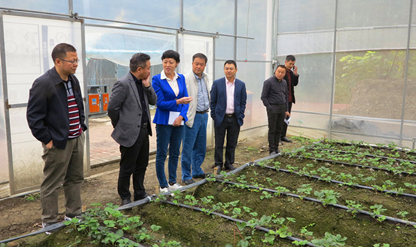 2016101417512248 2016101417512248