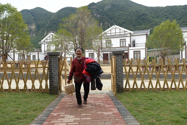 二村张正英3 二村张正英3