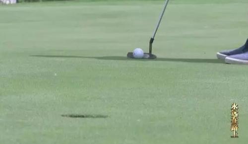 W020161020268020119507 W020161020268020119507