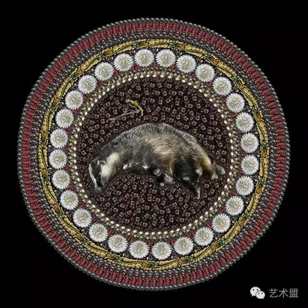 QQ图片20161020170446 QQ图片20161020170446