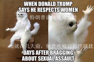 135769827_14769698826761n 135769827_14769698826761n