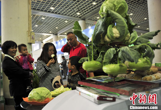 2401735207543350608 2401735207543350608