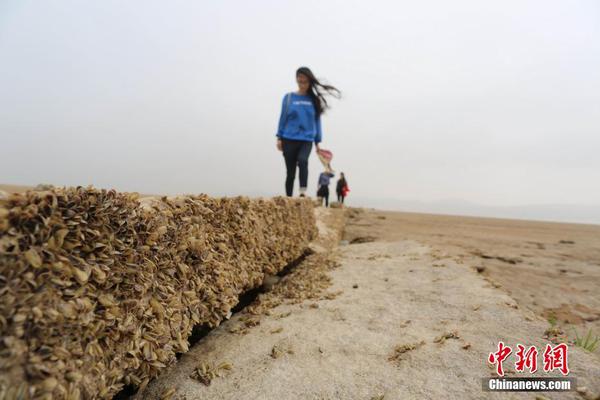 53a758481a12447d8eed3dab43d99ae5 53a758481a12447d8eed3dab43d99ae5